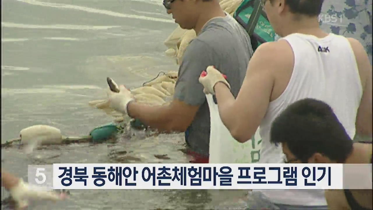 경북 동해안 어촌체험마을 프로그램 인기