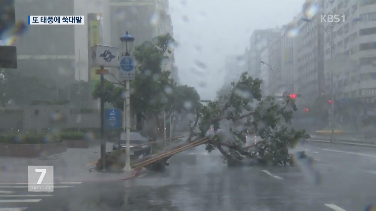 타이완, 또 태풍 강타…4명 사망·520여 명 부상