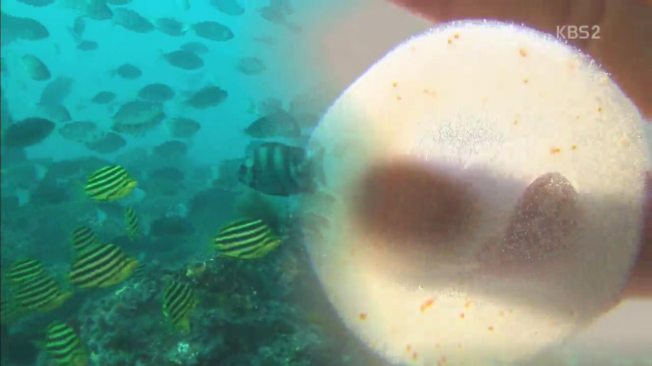 바다 해치는 ‘죽음의 알갱이’…‘미세 플라스틱’ 퇴출