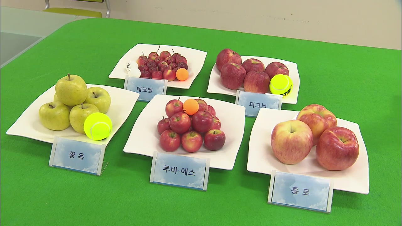 Miniature Fruits