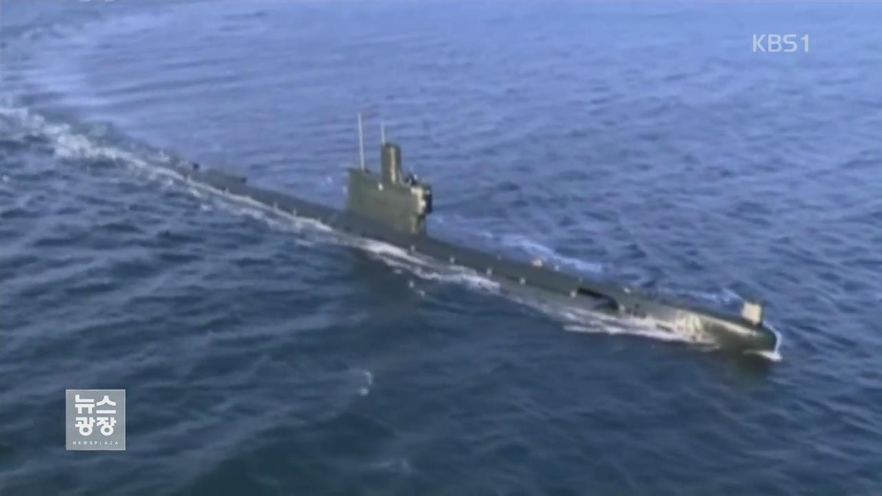 38노스 “북한, 고래급보다 큰 잠수함 건조 추정”