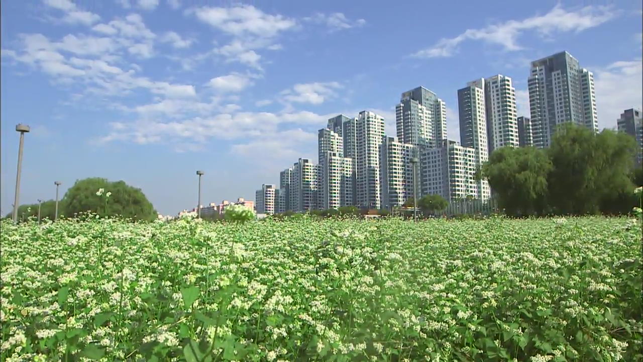 [Korea Snapshot] Banpo Hangang Park