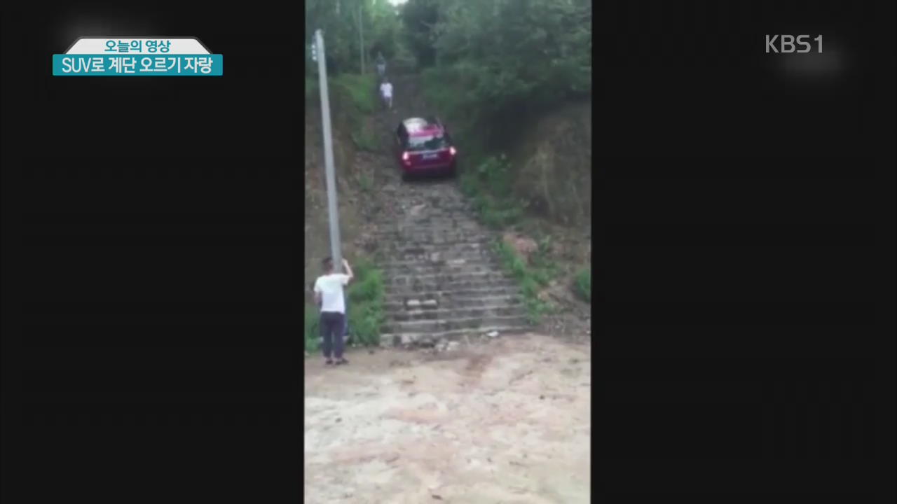 [오늘의 영상] SUV로 계단 오르기 자랑