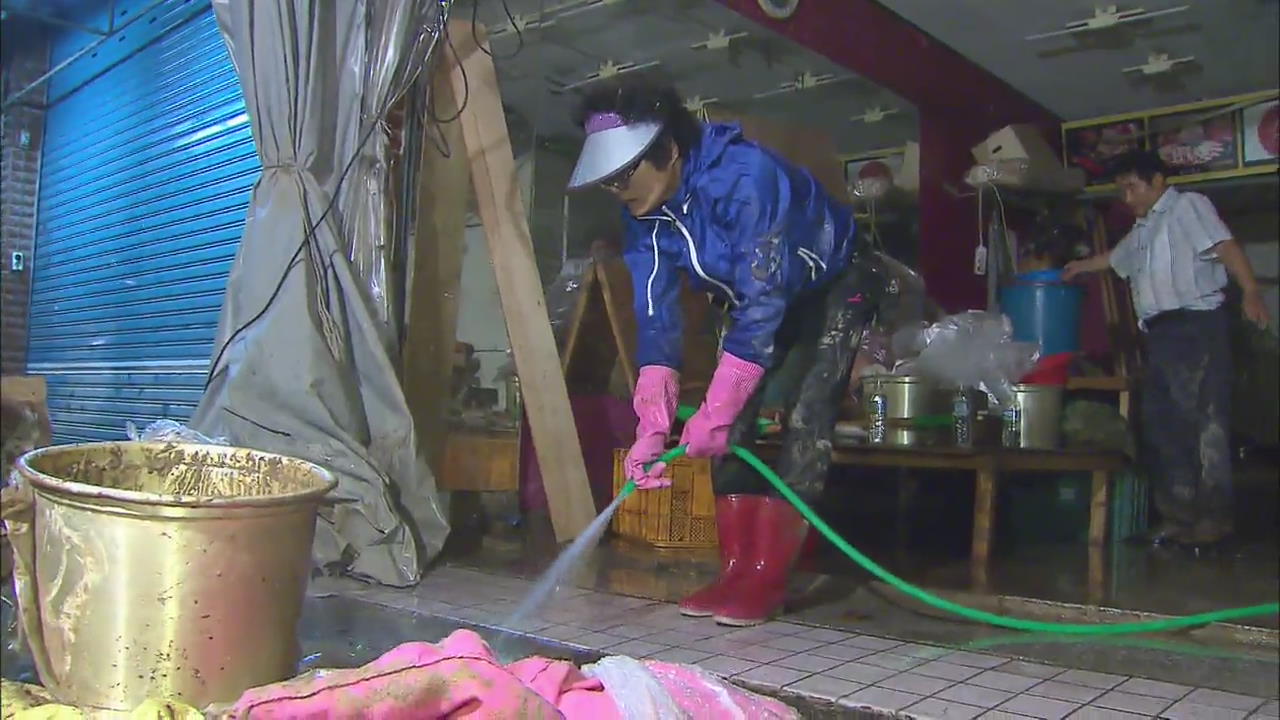 Restoration Efforts