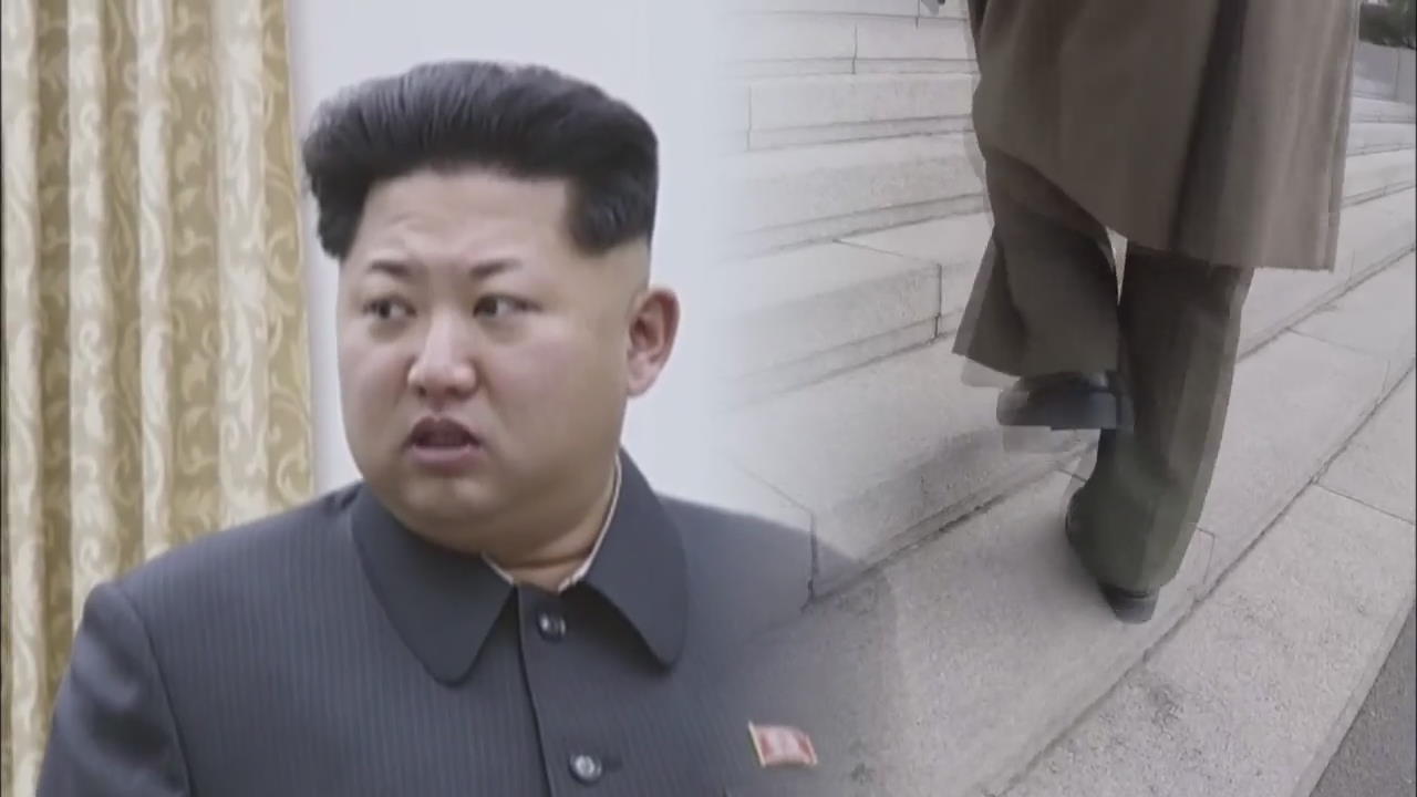 North Korean Defection