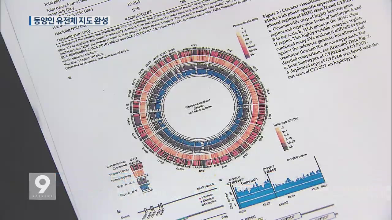 [앵커&리포트] 아시아인 비밀 밝힐 ‘유전체 지도’ 완성