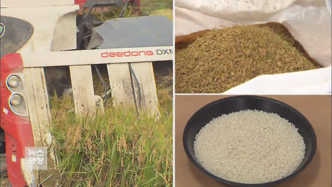 쌀 소비 부진 해소 ‘기능성 쌀’로