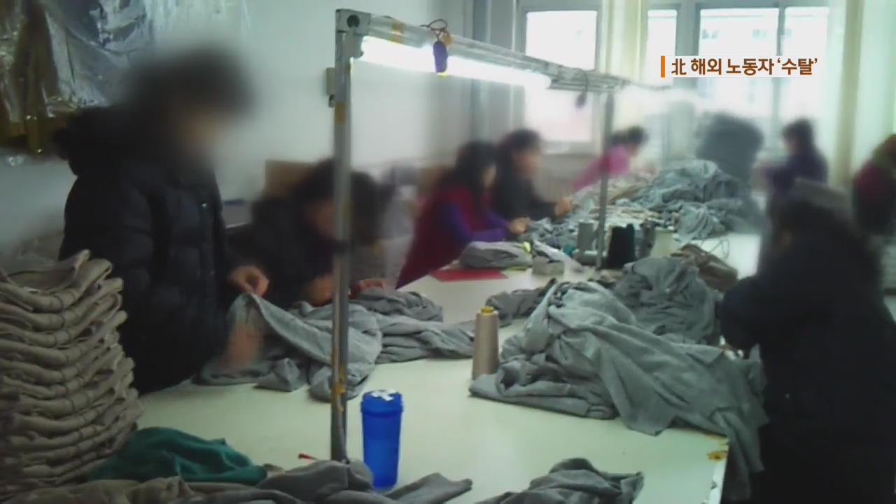 해외 북한 노동자들, 인간 이하 ‘착취’ 생활