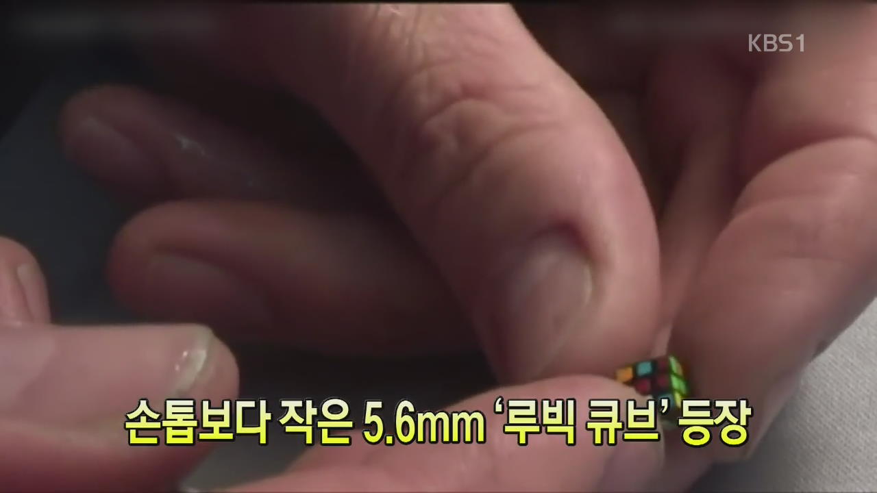 [세상의 창] 손톱보다 작은 5.6mm ‘루빅 큐브’ 등장