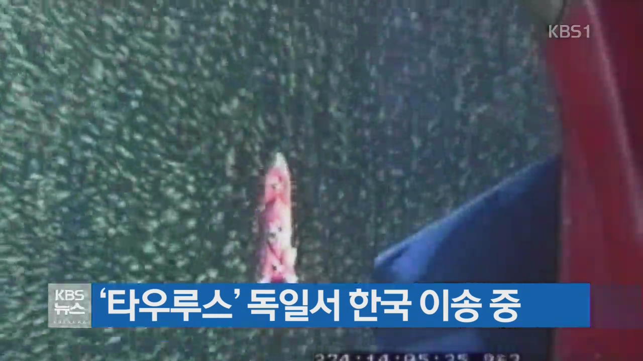 ‘타우루스’ 독일서 한국 이송 중