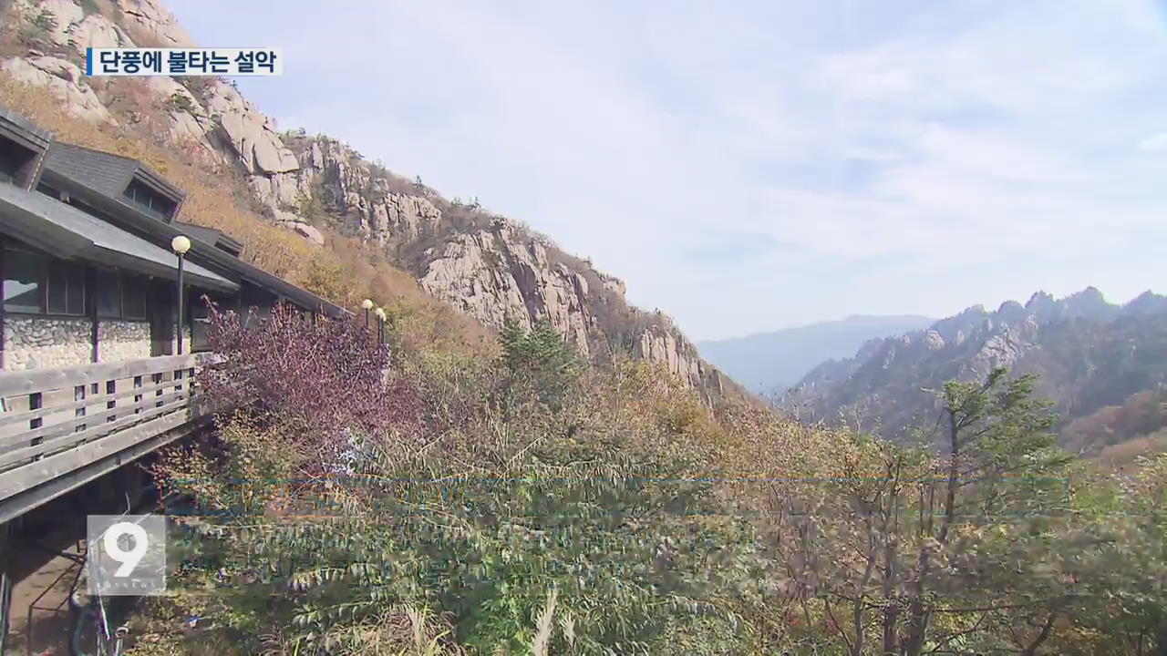 단풍에 불타는 설악…단풍객 절정