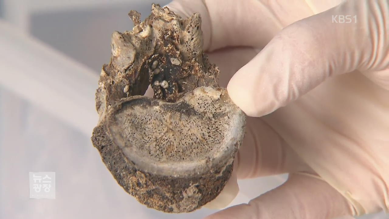 방치된 ‘1,500년 전 신라 여인’…썩어가는 희귀 유골들