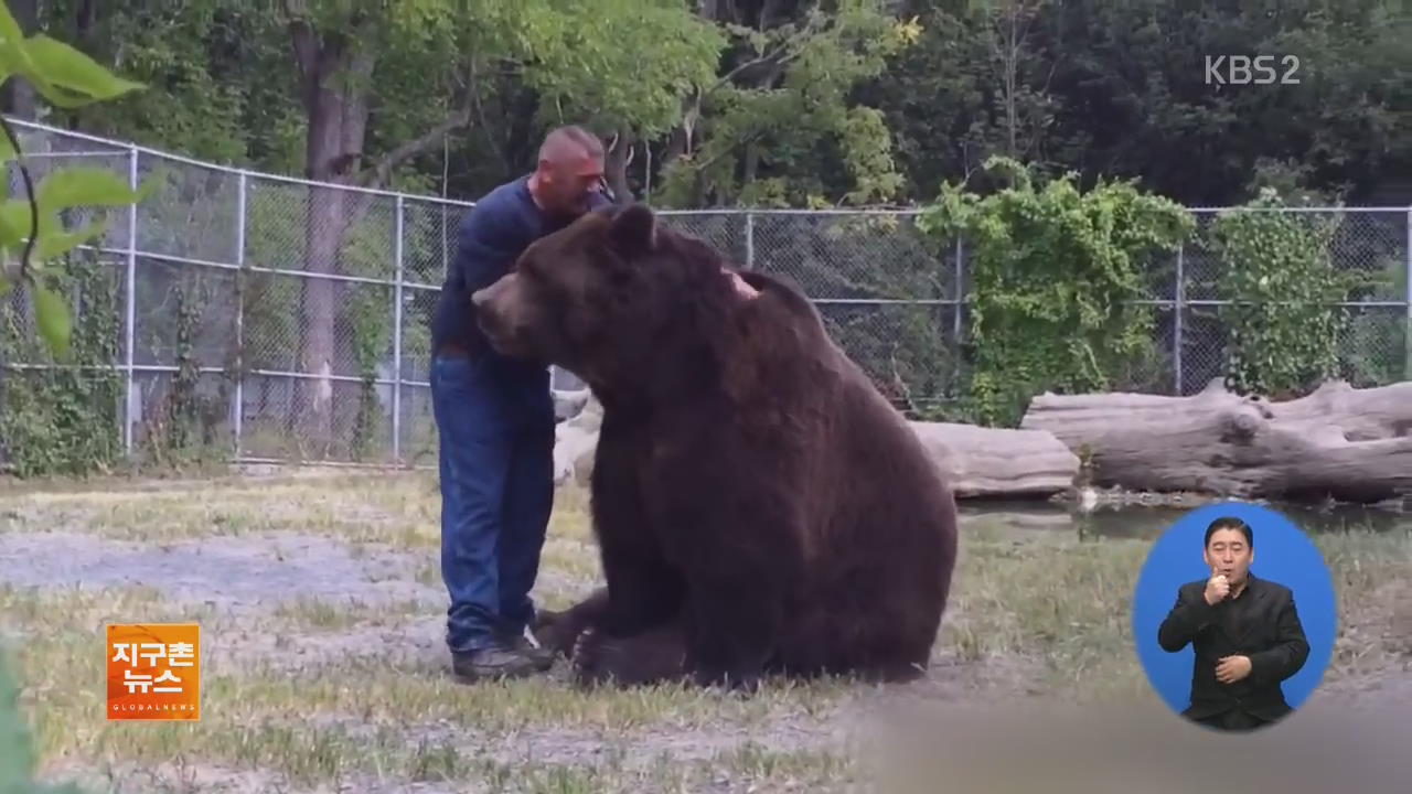 [지구촌 화제 영상] ‘아빠 고마워요’ 알래스카 불곰의 애정 표현