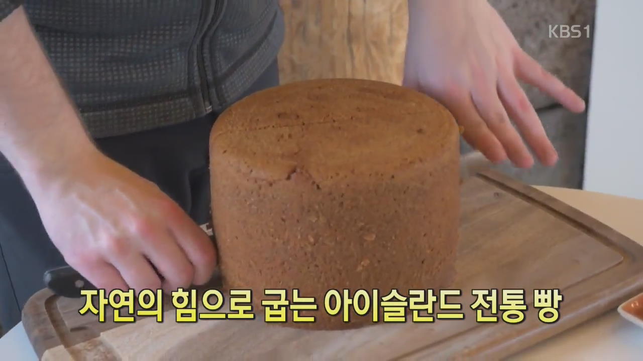 [디지털 광장] 자연의 힘으로 굽는 아이슬란드 전통 빵 