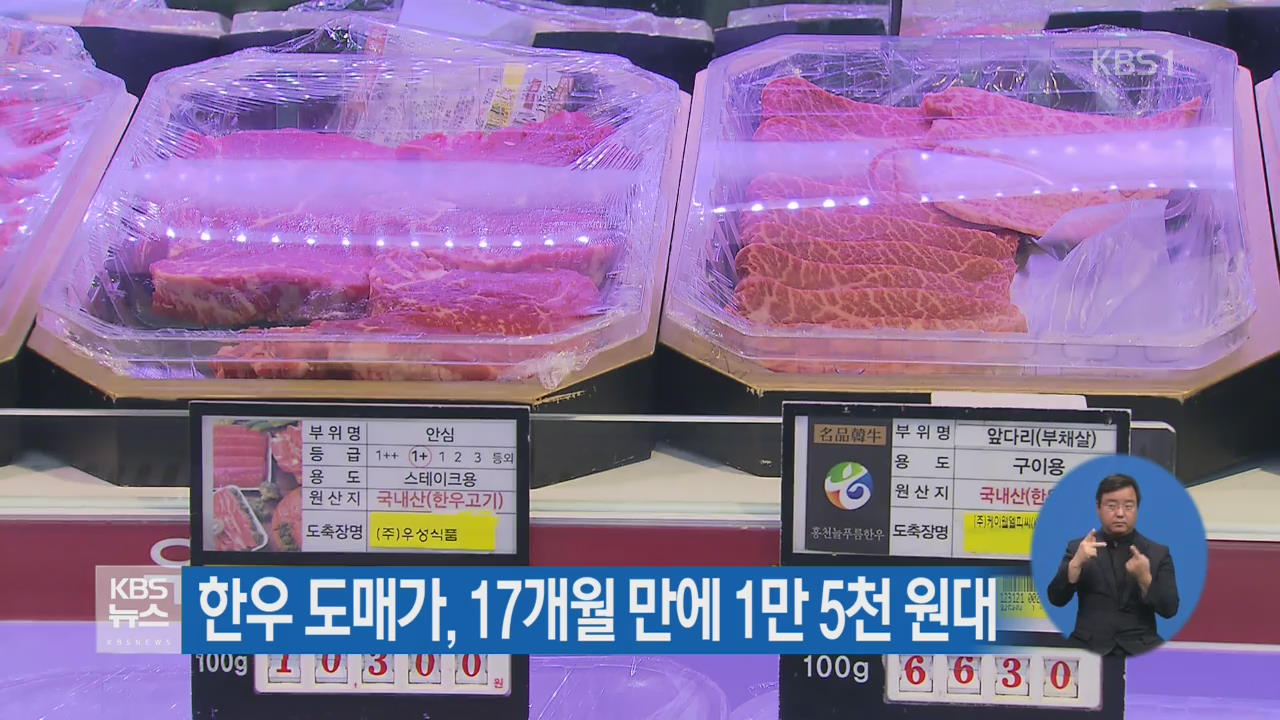 한우 도매가, 17개월 만에 1만 5천 원대