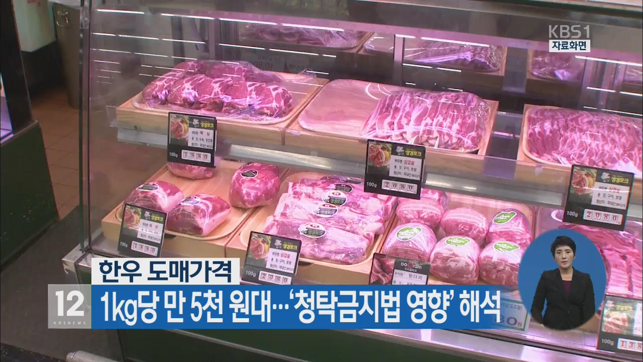 한우 도매가 1kg당 만 5천 원대…‘청탁금지법 영향’