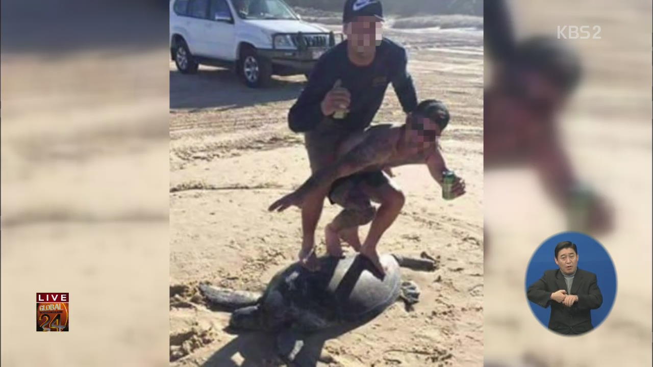 [글로벌24 주요뉴스] 호주, 거북이 타고 서핑한 두 남성…벌금은? 