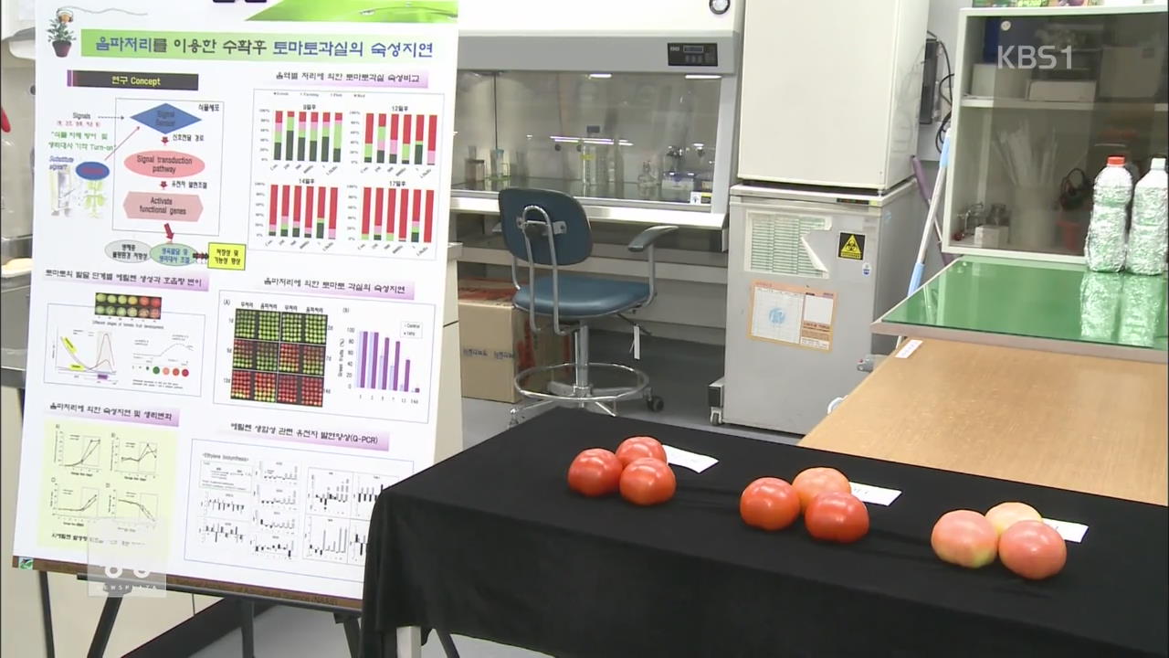 음악 들려주면 과일 신선도도 ‘쑥쑥’