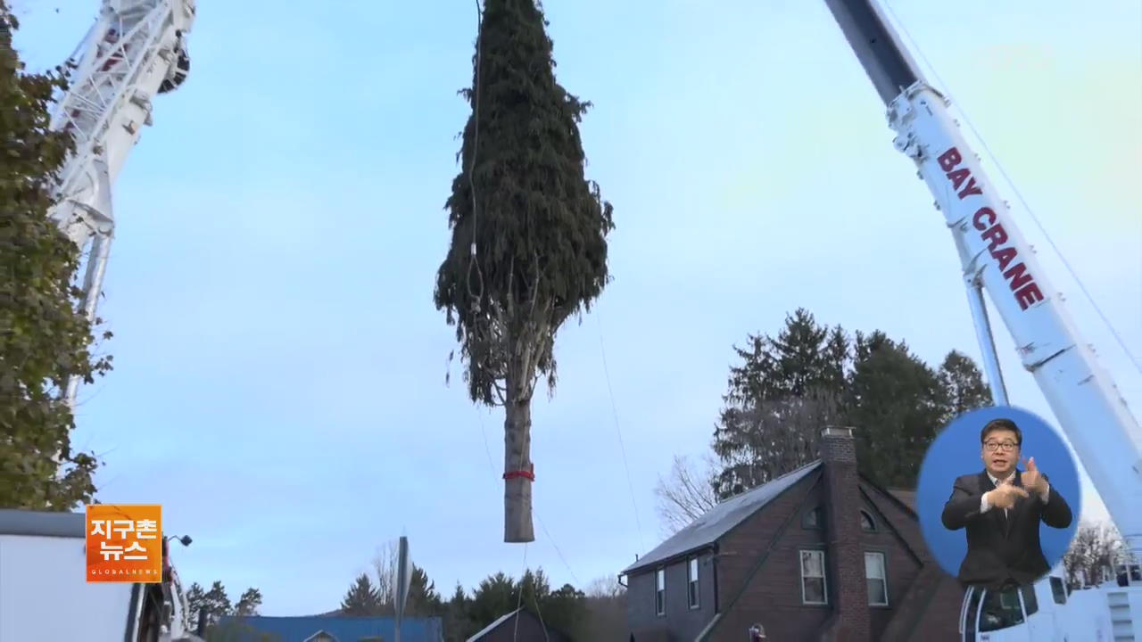 [지구촌 화제 영상] 美 록펠러센터 ‘크리스마스 트리’ 나무 도착