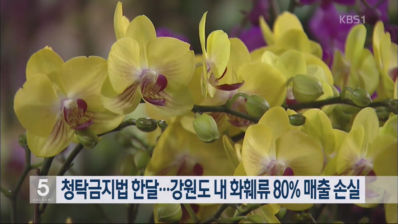 청탁금지법 한달…강원도 내 화훼류 80% 매출 손실