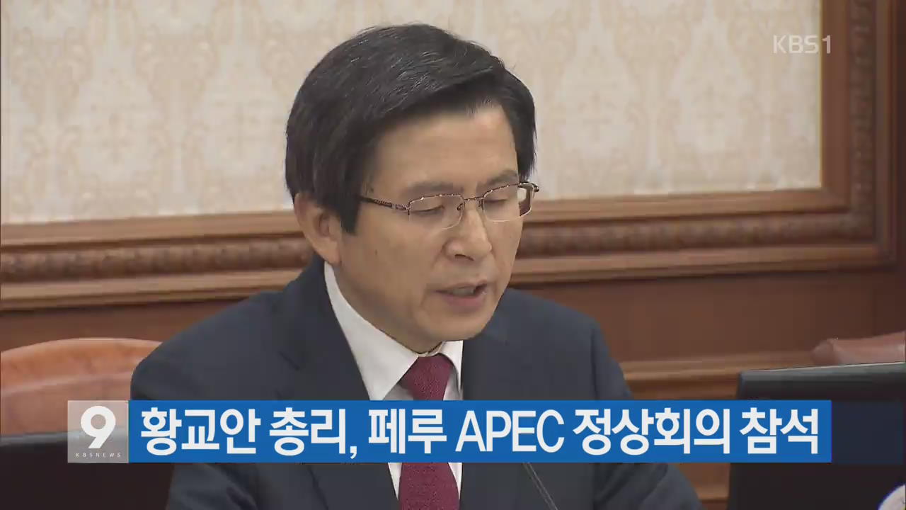 [간추린 단신] 황교안 총리, 페루 APEC 정상회의 참석 외