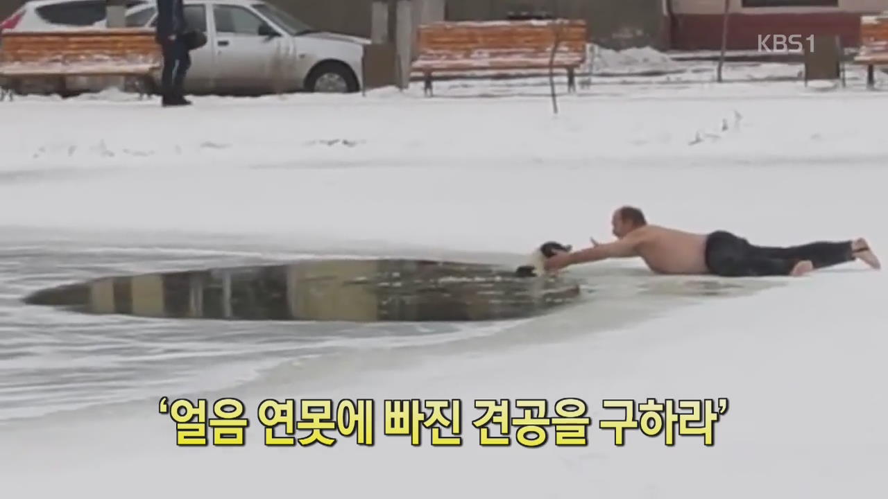[디지털 광장] ‘얼음 연못에 빠진 견공을 구하라’