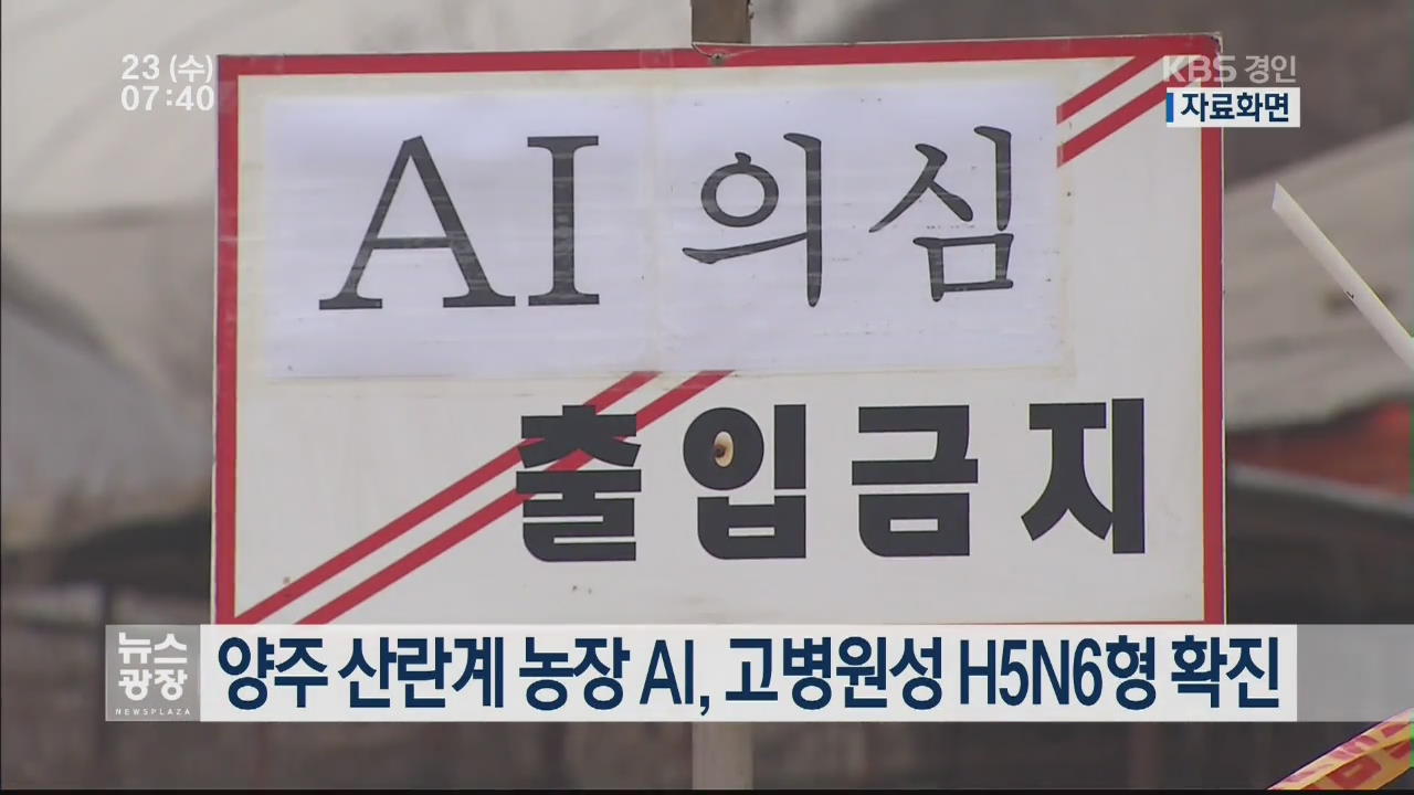 양주 산란계 농장 AI, 고병원성 H5N6형 확진