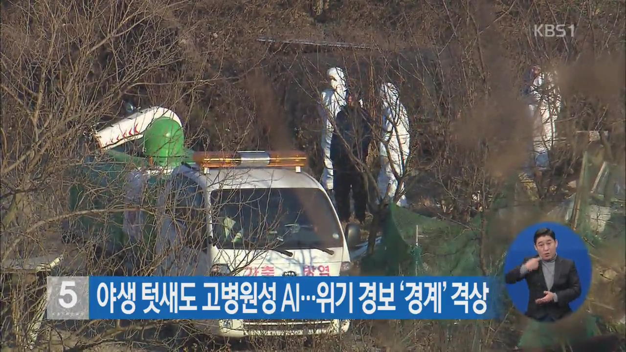 야생 텃새도 고병원성 AI…위기 경보 ‘경계’ 격상