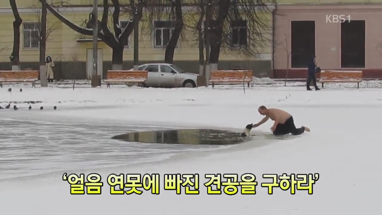 [세상의 창] ‘얼음 연못에 빠진 견공을 구하라’