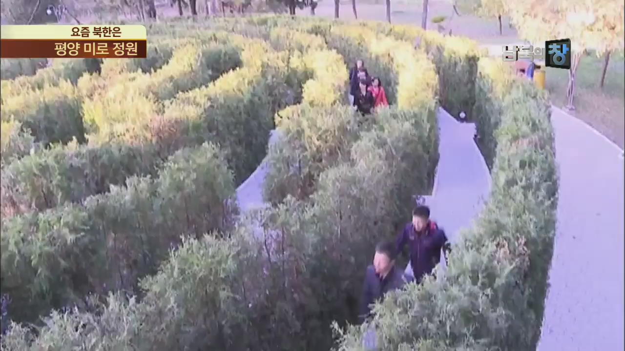 [요즘 북한은] 자칫하면 길 잃어요…평양 미로 정원 외