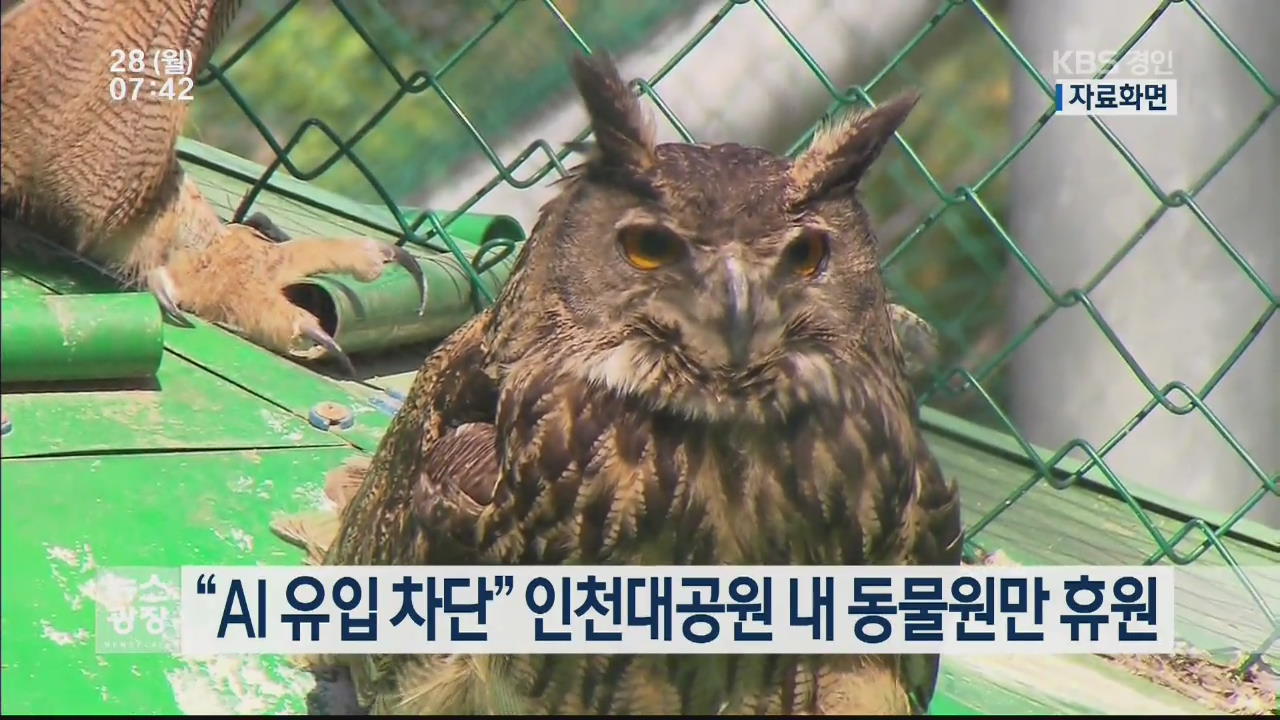 “AI 유입 차단” 인천대공원 내 동물원만 휴원