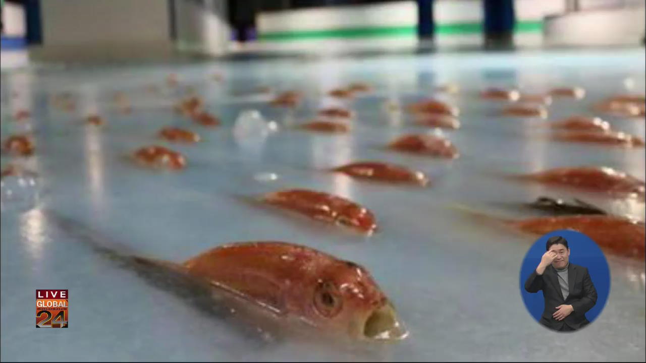 [글로벌24 주요뉴스] 日, 스케이트장 얼음 속 물고기 ‘잔혹’…결국 폐장