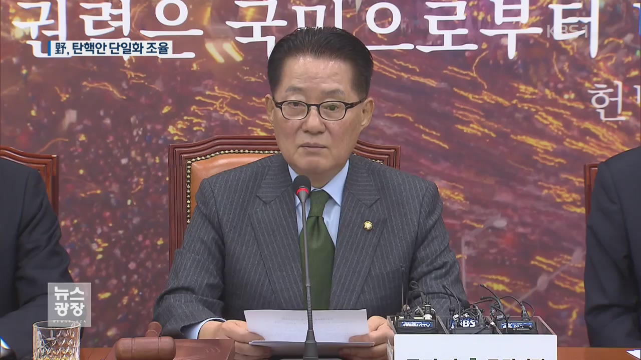 野, 탄핵안 초안 마련…표결 시기 저울질