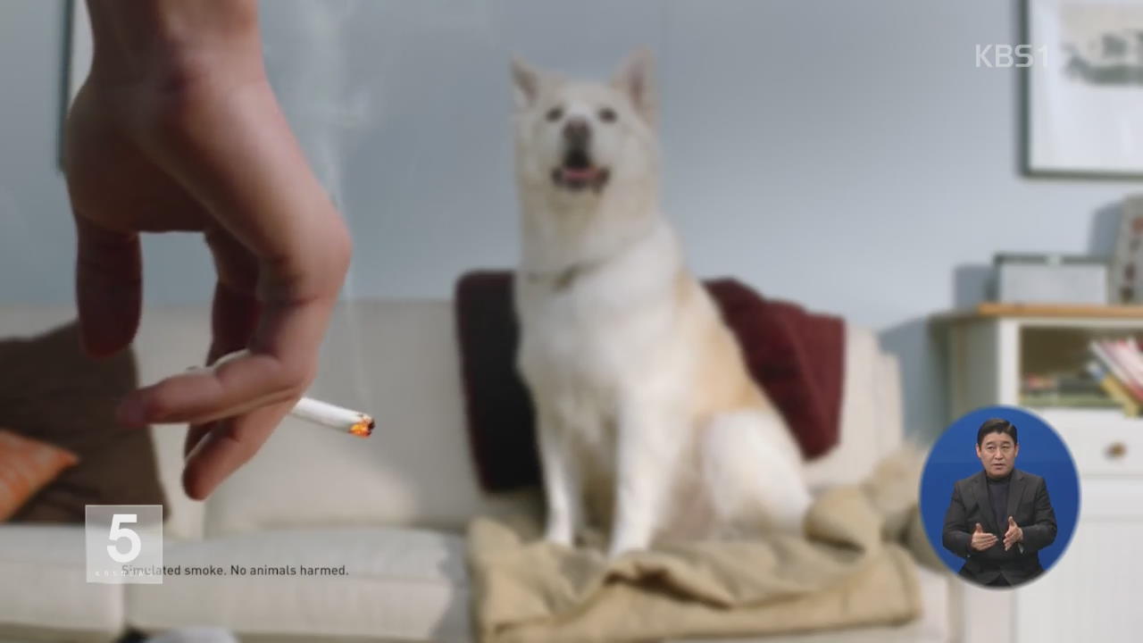 “간접흡연, 사람보다 애완동물에 더 치명적”