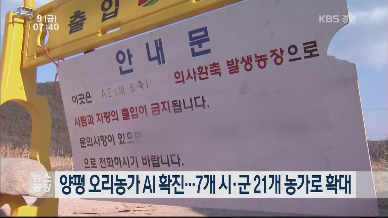 양평 오리농가 AI 확진…7개 시·군 21개 농가로 확대