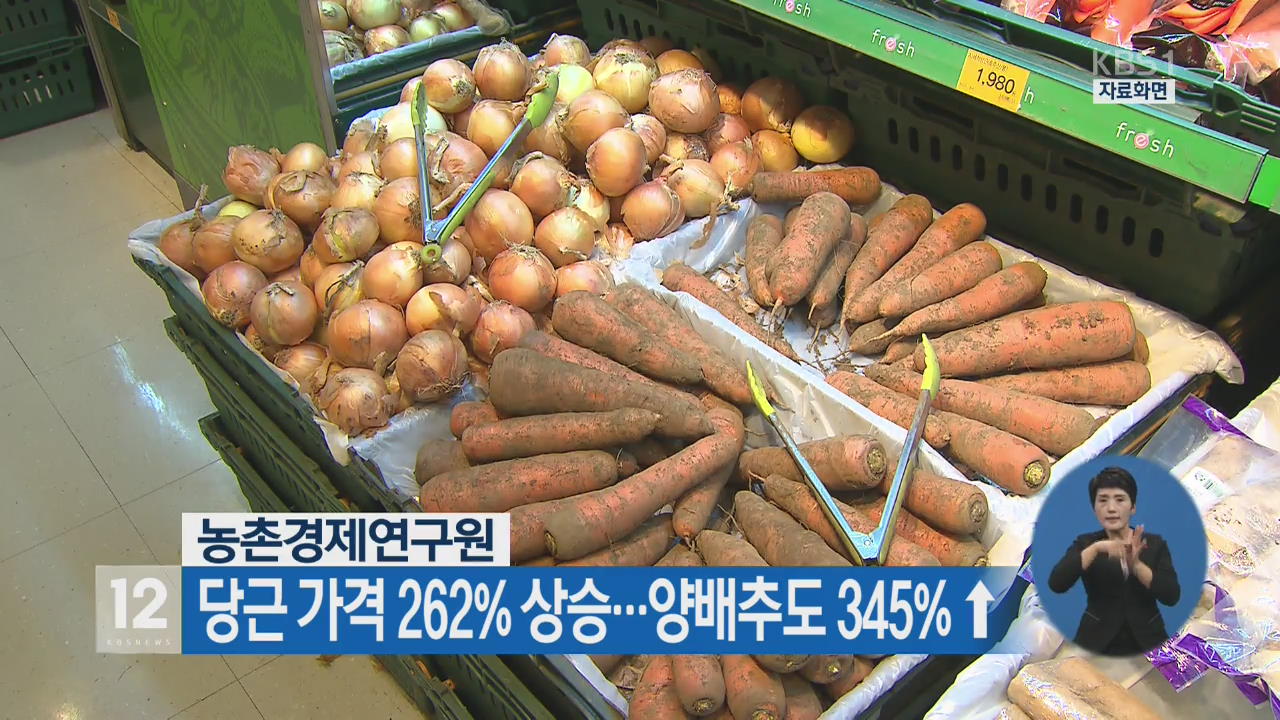 당근 가격 262% 상승…양배추도 345% ↑