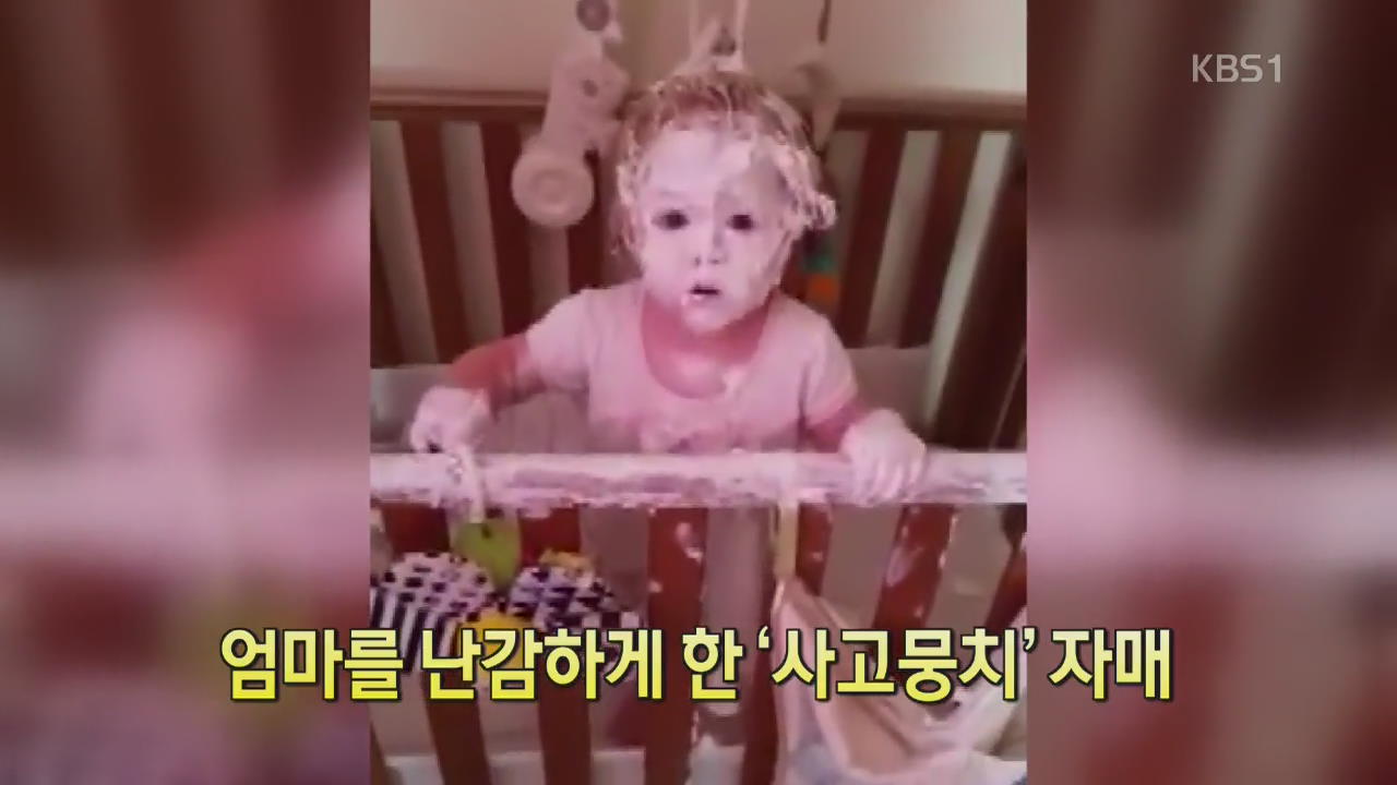 [디지털 광장] 엄마를 난감하게 한 ‘사고뭉치’ 자매