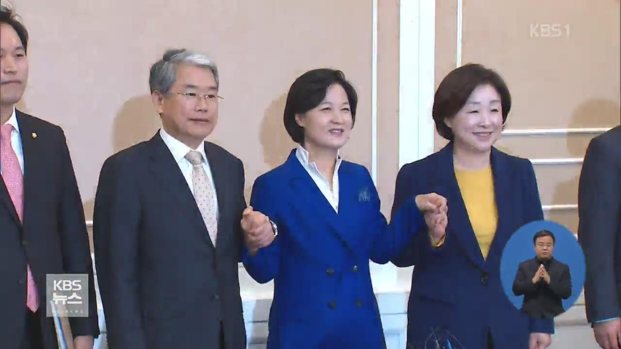 野 조속한 탄핵 판결 촉구…“사드·국정교과서 안 돼”