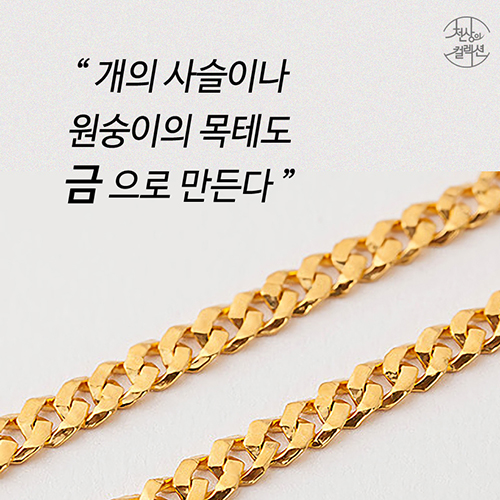 [뉴스픽] 개 사슬도 금으로? 미스터리 황금의 제국