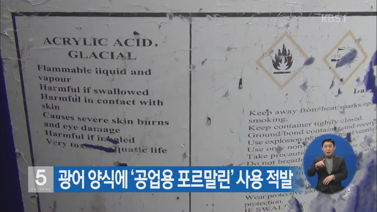 광어 양식에 ‘공업용 프로말린’ 사용 적발