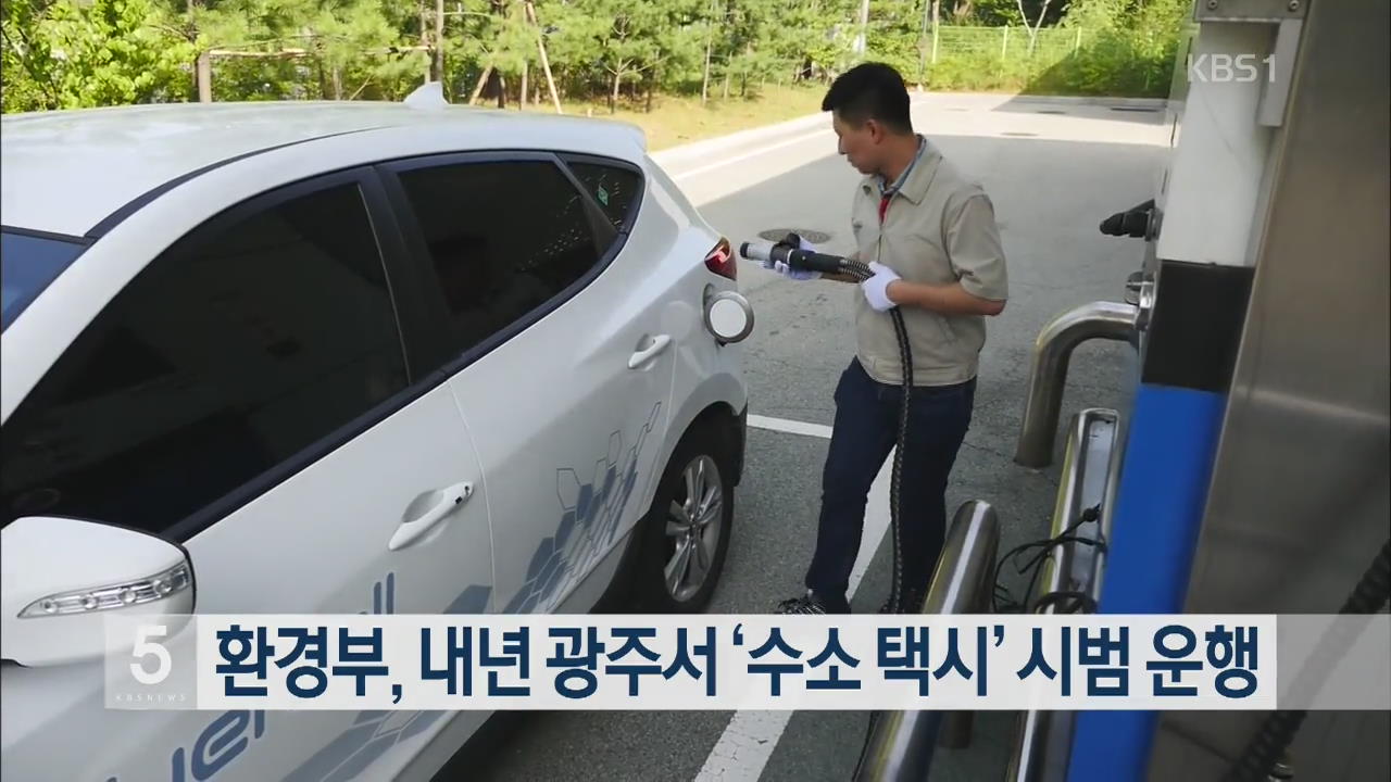 환경부, 내년 광주서 ‘수소 택시’ 시범 운행