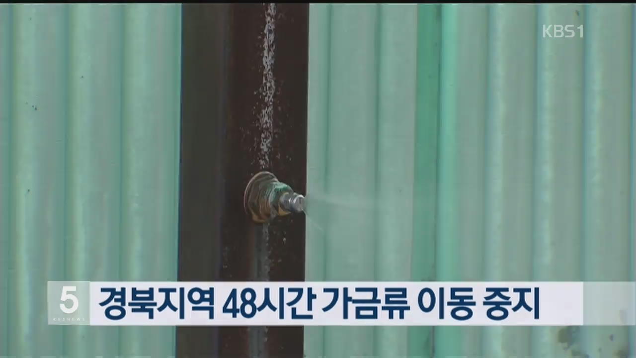 경북지역 48시간 가금류 이동 중지