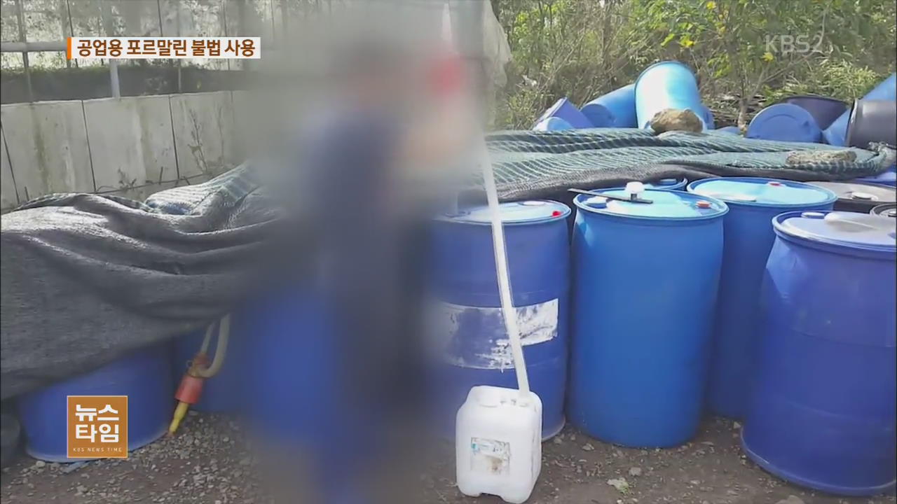 광어 양식에 공업용 포르말린 사용