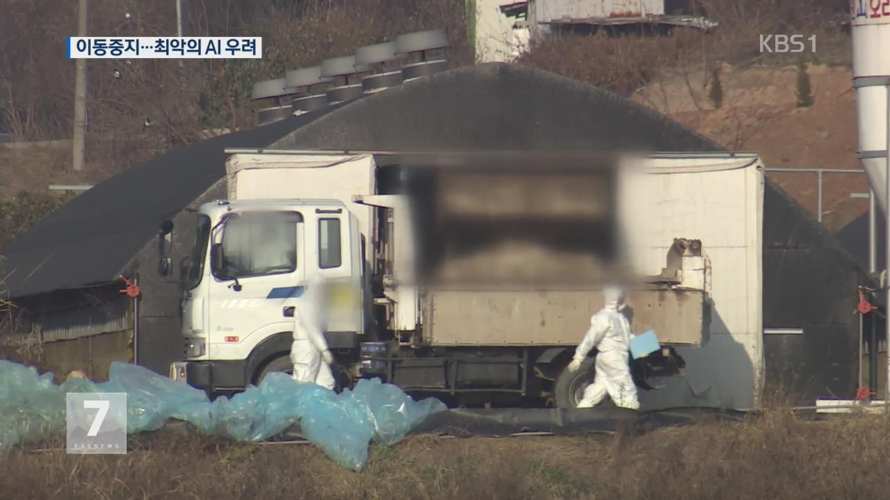김포·청주·나주에 AI…2014년보다 피해 클 듯