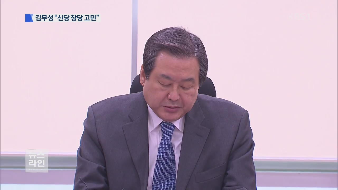 김무성 “신당 창당 고민”…비주류 탈당 고심