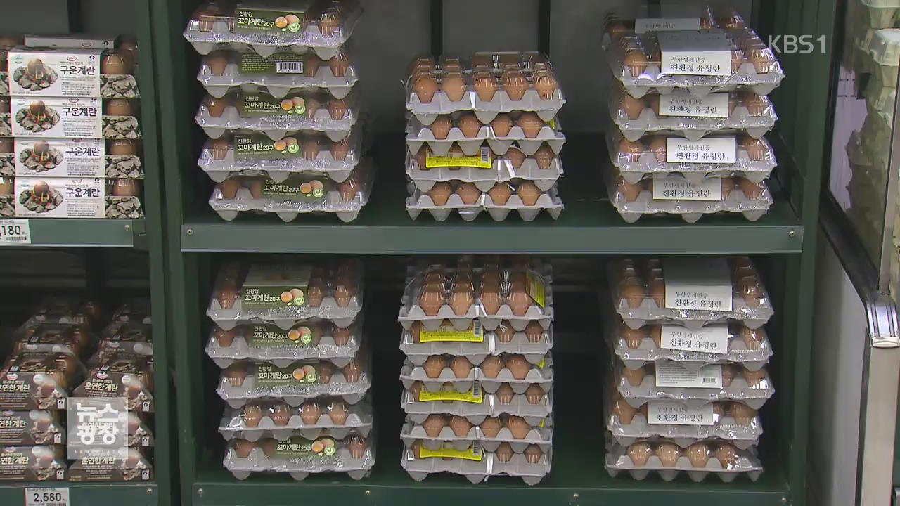 달걀 값 일주일 새 10% 급등…구매 제한까지