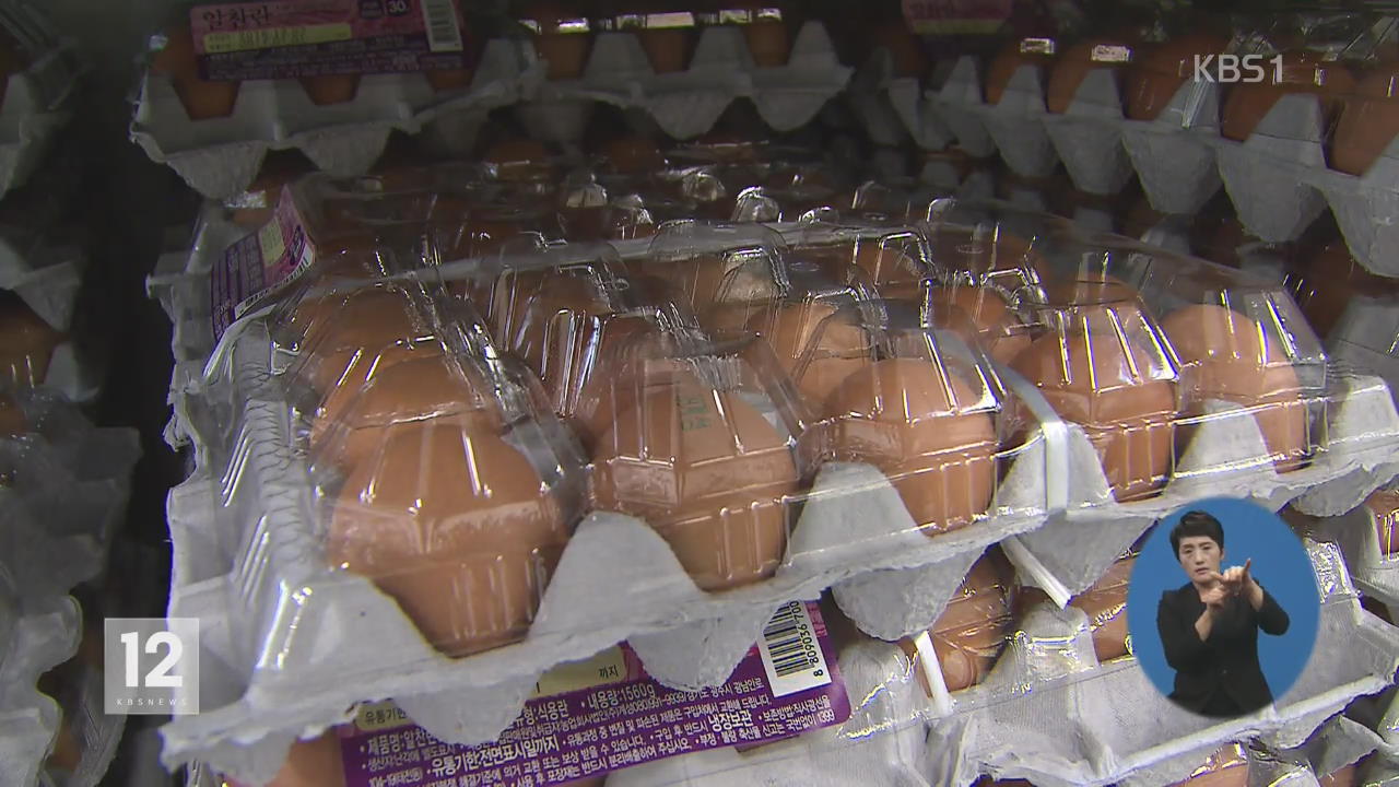매몰 1,900만 마리…‘계란 수입’ 항공료 지원