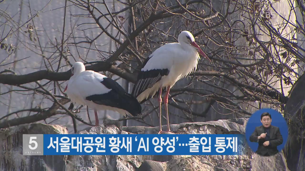 서울대공원 황새 ‘AI 양성’…출입 통제