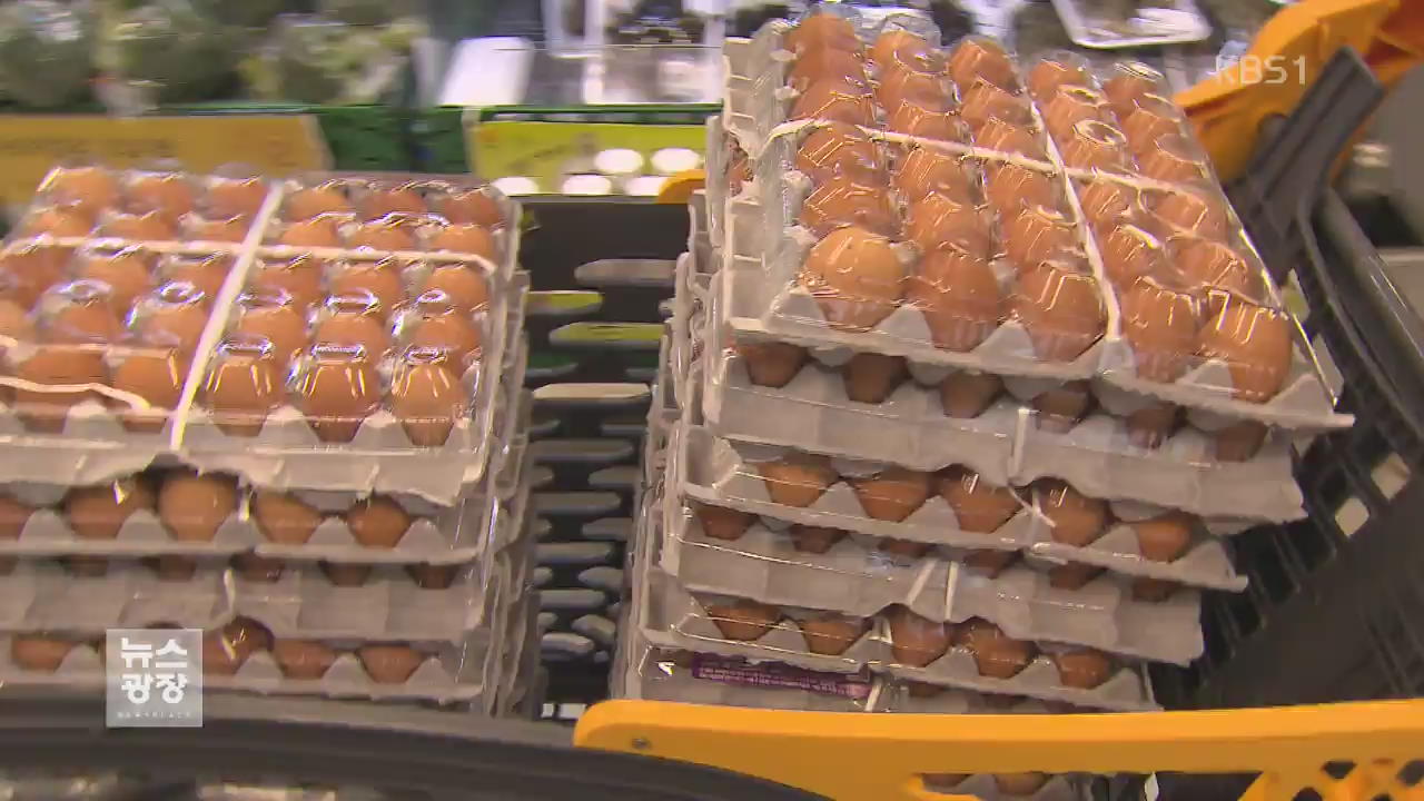 계란 수급 차질…가격 급등에 수입 추진