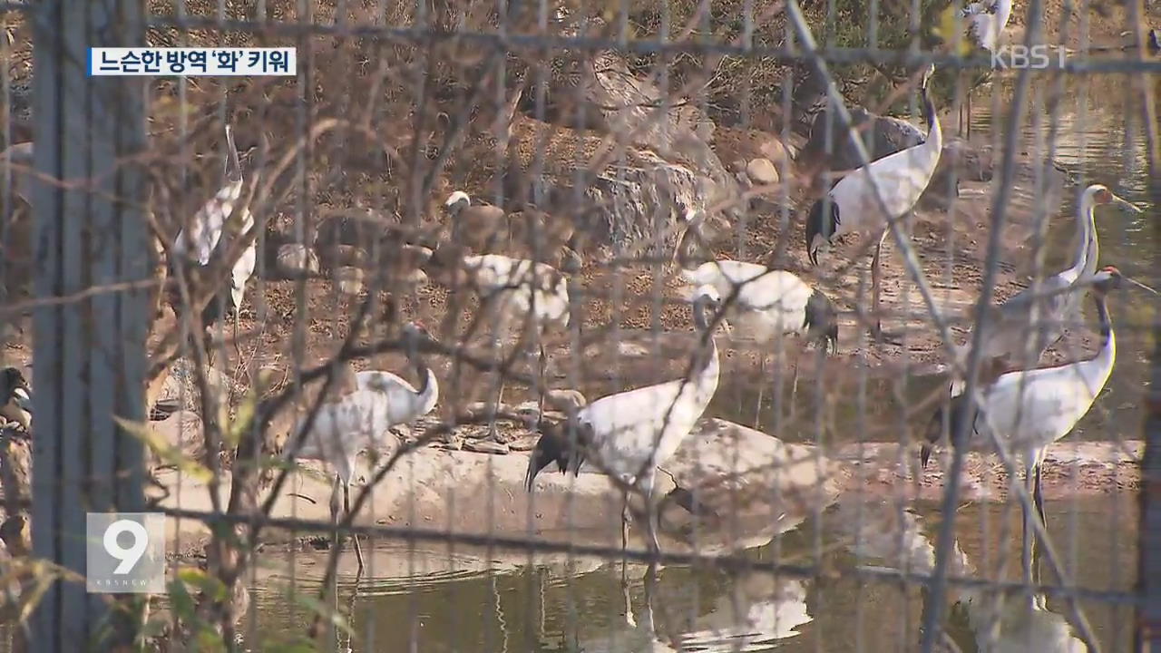 10km 밖은 안심?…서울대공원 소극 대응이 화 키워